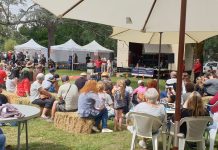 Taradale Festival to makes its return