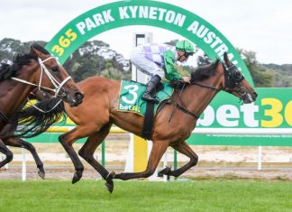 Close finish in Woodend Cup