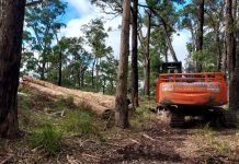 Crucial habitats logged