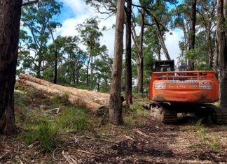 Crucial habitats logged