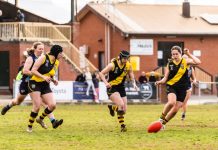 Tigers seek female players