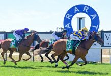 Perseverance pays off …