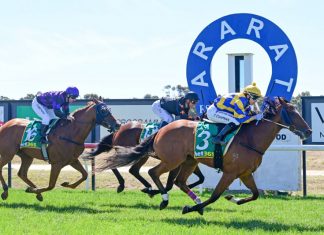 Perseverance pays off …