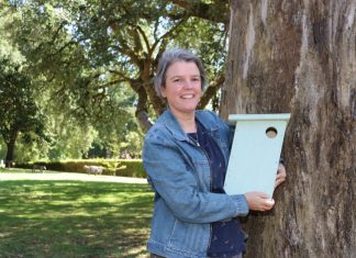 Rare sighting of live brushtailed phascogale captured in Kyneton