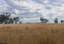 Gisborne plan ‘just not on’