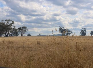 Gisborne plan ‘just not on’