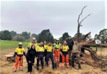 Helping hand from VicForests