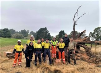 Helping hand from VicForests