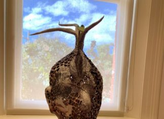 Depicting a small world