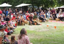 Taradale Festival is back