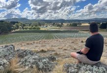 Harvest to begin for Macedon Ranges wine region