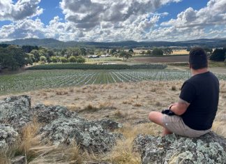 Harvest to begin for Macedon Ranges wine region