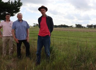 ‘Urban jungle’ rejected