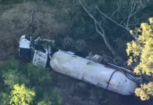 Truck driver dies following rollover