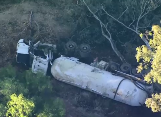 Truck driver dies following rollover