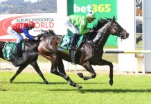 Timely win for Howley