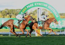 Dyer eyes off Darwin