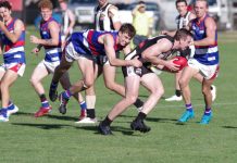 Bulldogs shake off Pies