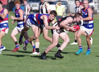 Bulldogs shake off Pies