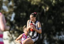 Shelby to join the Tigers