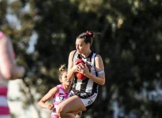 Shelby to join the Tigers