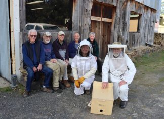 Buzz for new project