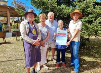 Peer support for carers