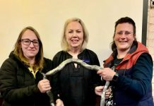 Tigers take Equity Cup