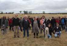 ‘Satellite city’ approved