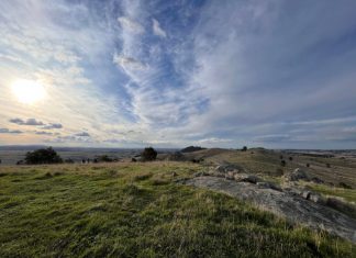 Building healthy landscapes