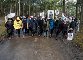 Protesting anti-protest laws