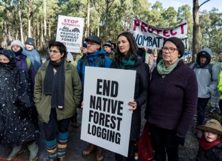Native forest logging to end