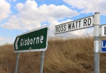 ‘No uniform existing character in Gisborne’