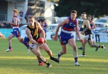 Agony, ecstasy as Tigers win