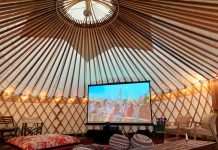 Films to screen at micro-cinema