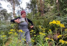 Fabulous fauna and fungi