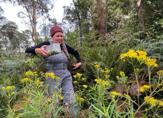 Fabulous fauna and fungi
