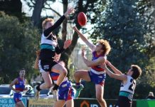 Gisborne by 204 points