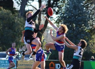 Gisborne by 204 points