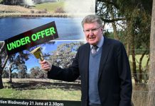 Auctioneer’s milestone