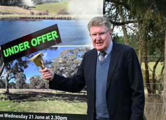 Auctioneer’s milestone