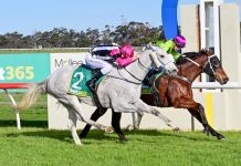 Magic Edition’s brave win