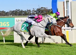 Magic Edition’s brave win