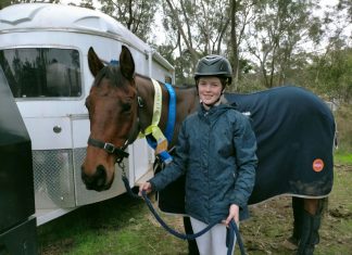 Kyneton riders claim placings