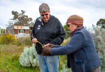 Harnessing beneficial fungi