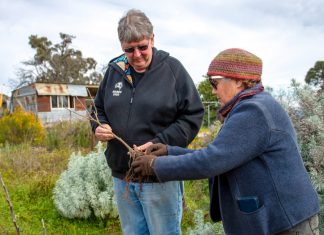 Harnessing beneficial fungi