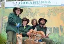 Fundraiser for Jirrahlinga