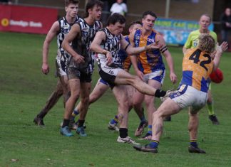 Magpies bravely play on for Dallas