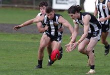 Castlemaine wins battle of the Pies