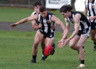 Castlemaine wins battle of the Pies